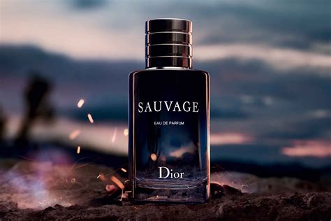 how does dior sauvage smell|sauvage dior cologne.